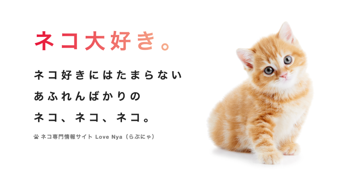 Love Nya（らぶにゃ） - 🐈ネコが大好きな人のための情報サイト