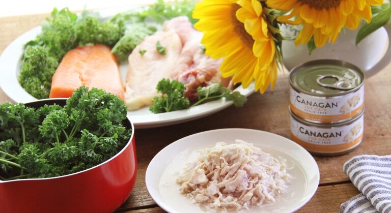 カナガンキャットフード チキン＆サーモン ウェットタイプ