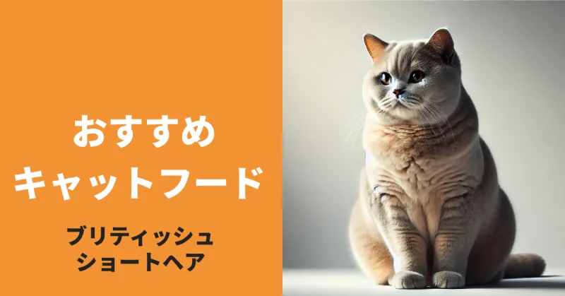 ブリティッシュショートヘアに最適なキャットフード