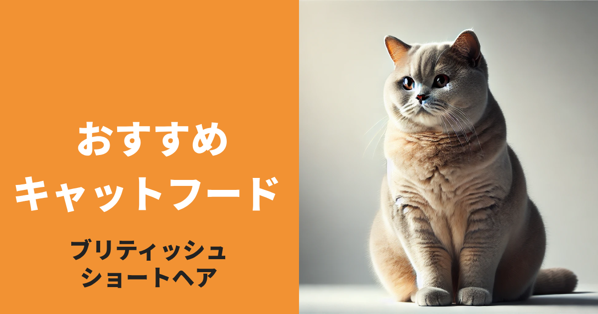 ブリティッシュショートヘアに最適なキャットフード