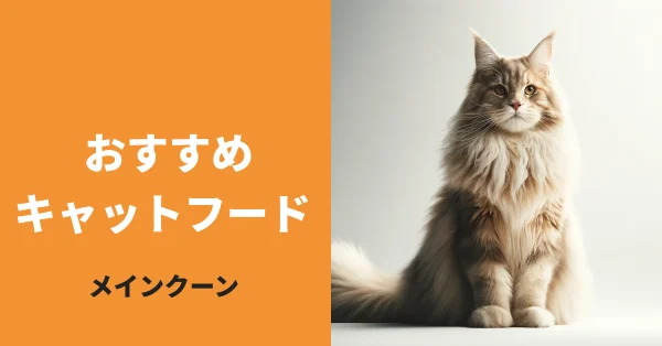 メインクーンに最適なキャットフード