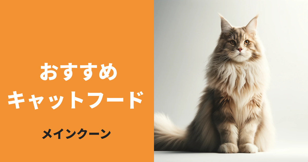 メインクーンに最適なキャットフード