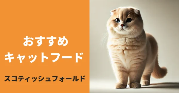 スコティッシュホールドのキャットフード