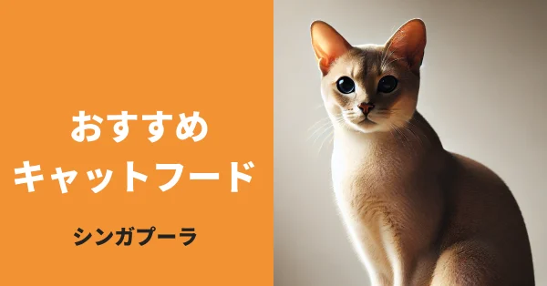 シンガプーラに最適なキャットフード