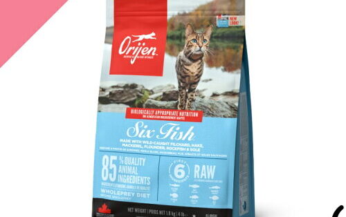 オリジン シックスフィッシュ